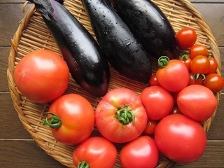 野菜.jpg