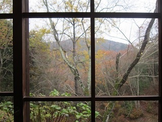 IMG_0704.jpg