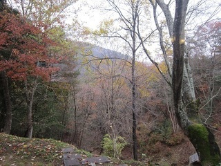 IMG_0706.jpg